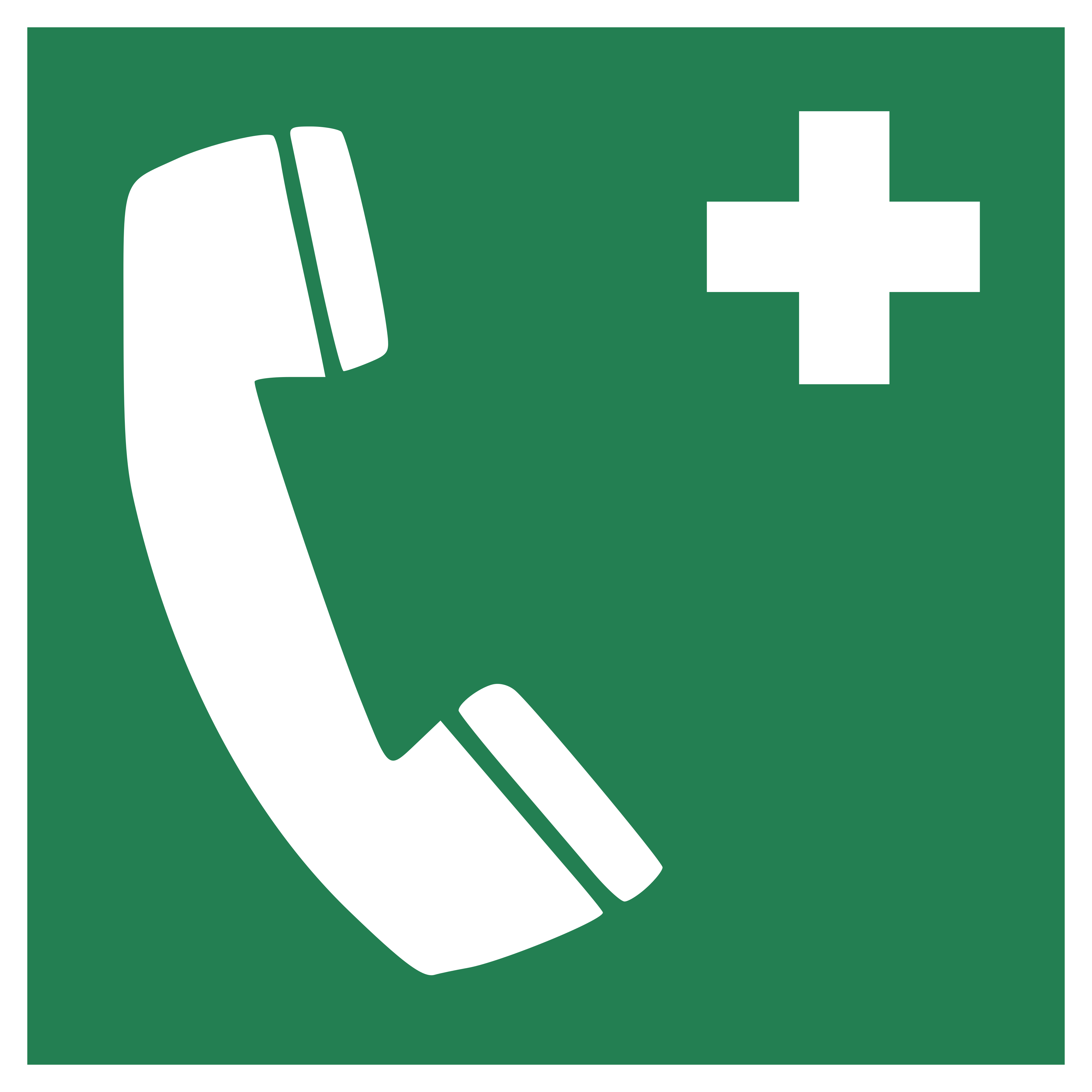 Notruftelefon